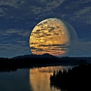 Meet your Posher, Connie